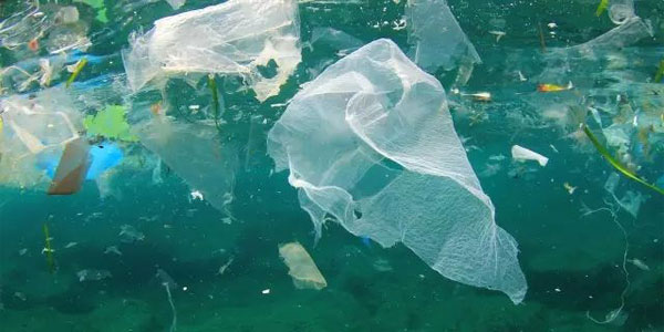 世界上再也找不到没有塑料的海洋
